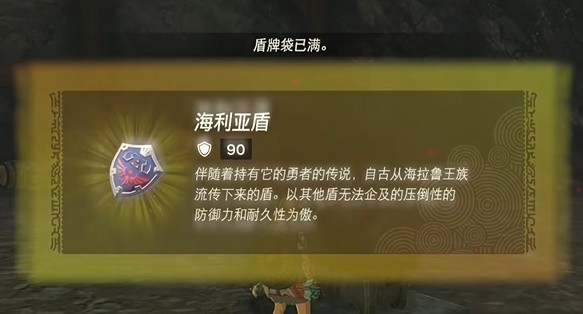 王国之泪海利亚盾碎了还能用吗-塞尔达传说王国之泪海利亚盾获取方法
