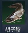 星球重启胡子鲶在哪里获得 星球重启普通鱼类胡子鲶分布位置