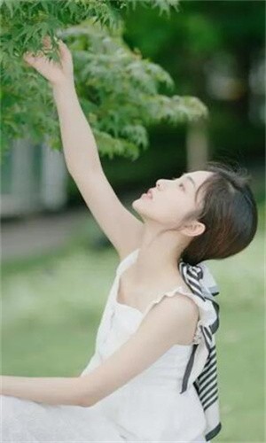 亚瑟中文版安装包下载地址下载app