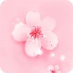 菠萝影视下载地址