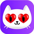 黄金网站app视频大全下载