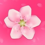 硬汉视频播放器