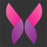 小蓝视频在线播放观看