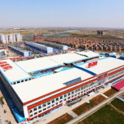 亚VA芒果乱码一二三四区别解析：深度剖析与应用前景