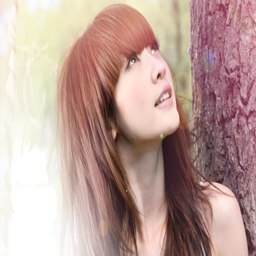 探索精产国蘑菇品一二三产品区的无限潜力与未来趋势